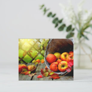 Apfelernte Postkarte