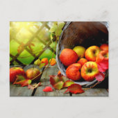 Apfelernte Postkarte (Vorderseite)