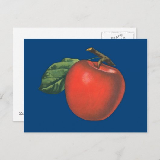 Apfelfruchtdarstellung Vintag Postkarte (Vorne/Hinten)