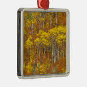 Apfelhahn in der Herbstfarbe in Silbernes Ornament (Rechts)