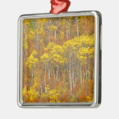 Apfelhahn in der Herbstfarbe in Silbernes Ornament (Links)