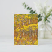 Apfelhain in Spitzenfarbe im Herbst Postkarte (Stehend Vorderseite)