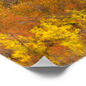 Apfelhain in Spitzenfarbe in 2 Poster (Ecke)