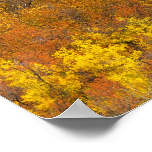 Apfelhain in Spitzenfarbe in 2 Poster (Ecke)