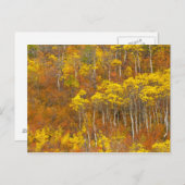 Apfelhain in Spitzenfarbe in 2 Postkarte (Vorne/Hinten)