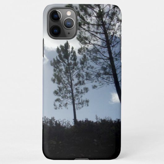 Apfelhandy 11 pro max Kunst und Design iPhone Hülle (Rückseite)