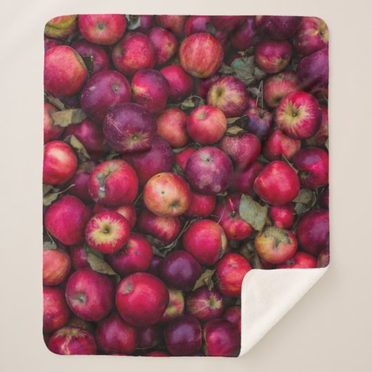 Apfelhecht Sherpadecke (Vorderseite)
