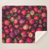 Apfelhecht Sherpadecke (Vorderseite (Horizontal))