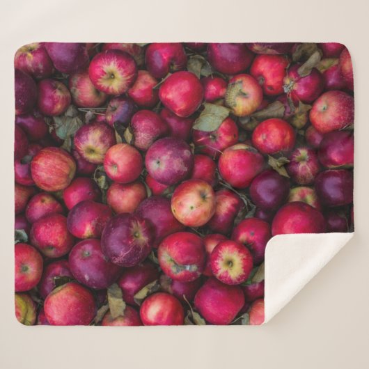 Apfelhecht Sherpadecke (Vorderseite (Horizontal))