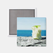 Apfelkern im Schmutz Magnet (Vorderseite/Rückseite)