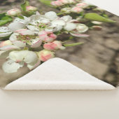 Apfelknospen Blume Sherpadecke (3/4)