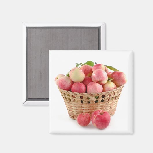 Apfelkörbe, Ernte, Herbst Magnet (Vorderseite/Rückseite)
