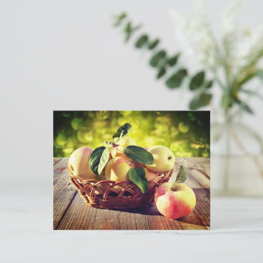 Äpfelkörbe Postkarte (Stehend Vorderseite)