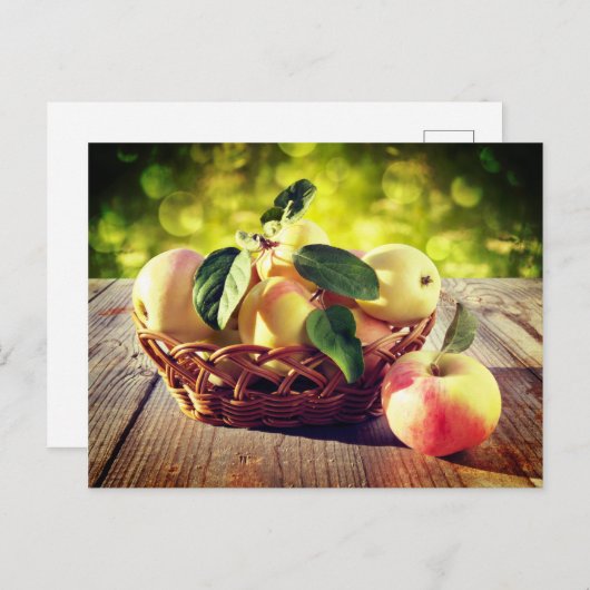 Äpfelkörbe Postkarte (Vorne/Hinten)