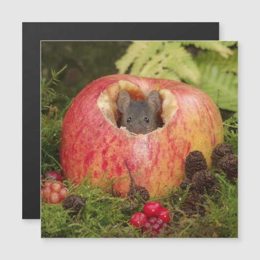 Apfelmaus Magnetkarte (Vorne/Hinten)