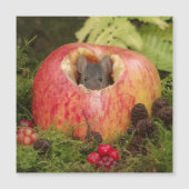 Apfelmaus Magnetkarte (Vorderseite)