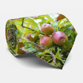 Äpfelmode Krawatte (Gerollt)