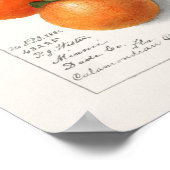 Apfelsinen (Kalamondisch) Malerei mit Wasserfarben Poster (Ecke)