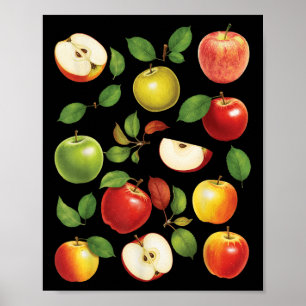 Apfelsorten Verschiedene Arten Apfelpflücker Apfel Poster