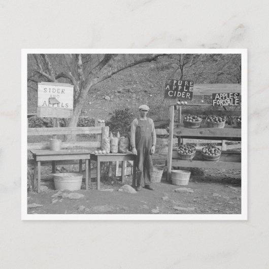 Apfelständer Postkarte (Vorderseite)