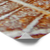 Äpfelster, gefroren poster (Ecke)