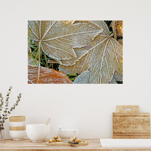 Äpfelster, gefroren poster (Küche)