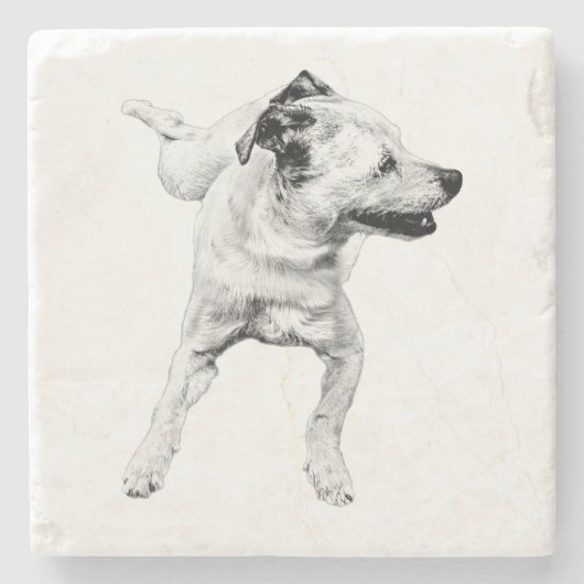 Apfeltisch, fröhliche Achse Steinuntersetzer (Vorderseite)