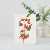 Apfelwein Postkarte (Stehend Vorderseite)