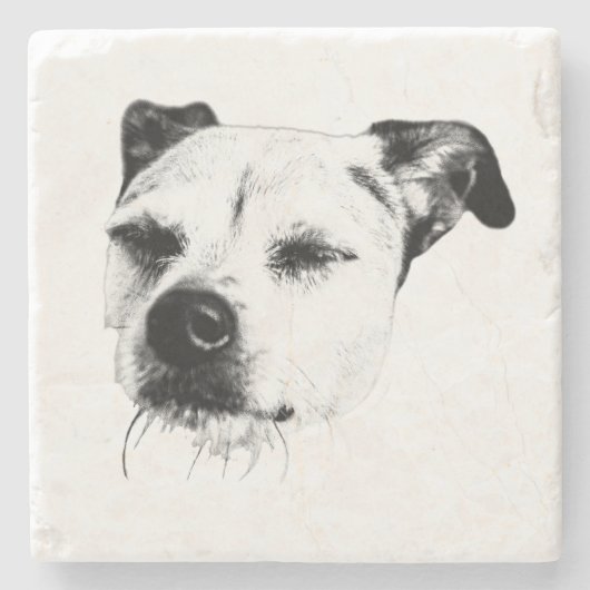 Apfelwein-Stille Steinuntersetzer (Vorderseite)