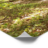 Aphalachische Wanderwege Poster (Ecke)