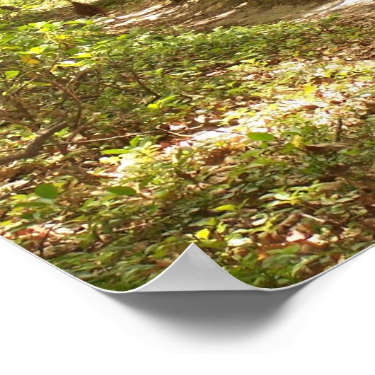 Aphalachische Wanderwege Poster (Ecke)