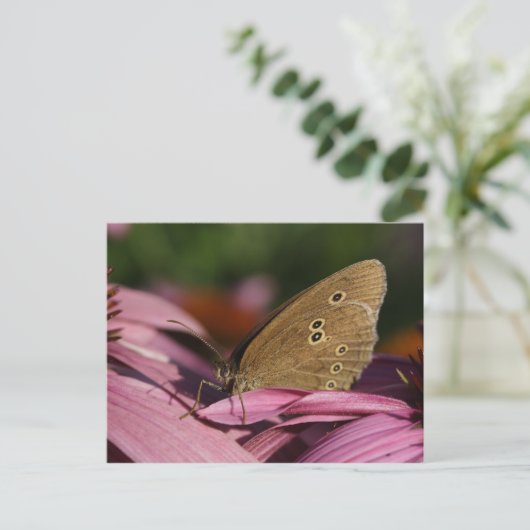 Aphantopus hyperantus postkarte (Stehend Vorderseite)