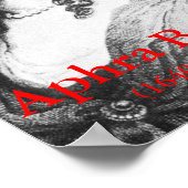 Aphra Behn Poster (Ecke)