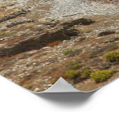 Aphrodite-Felsen, Zypern Poster (Ecke)