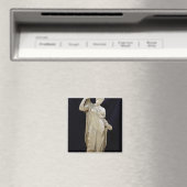 Aphrodite Genetrix, römische Kopie Magnet (In Situ (Geschirrspüler))