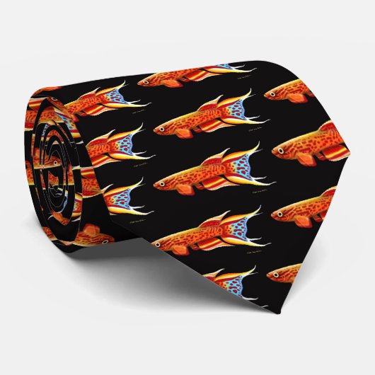 Aphyosemion Australe Killifish-Krawatte Krawatte (Gerollt)