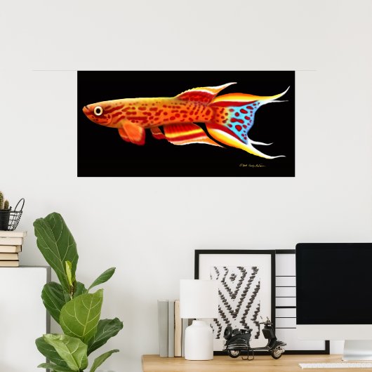 Aphyosemion Australe Killifish Poster (Heimbüro)