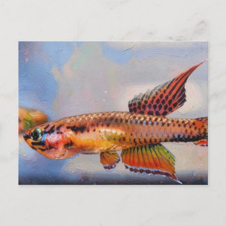 Aphyosemion bitaeniatum Ijebu Ode Killifisch Postkarte