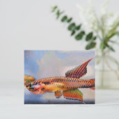 Aphyosemion bitaeniatum Ijebu Ode Killifisch Postkarte (Stehend Vorderseite)