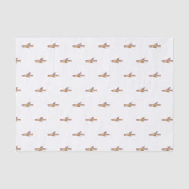 Aphyosemion bitaeniatum Ijebu Ode Killifisch Seidenpapier