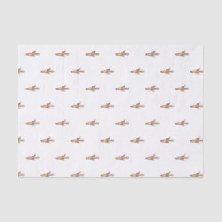 Aphyosemion bitaeniatum Ijebu Ode Killifisch Seidenpapier