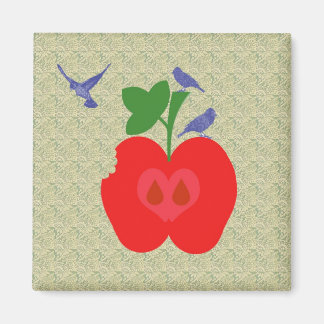 Api-Apfel Magnet