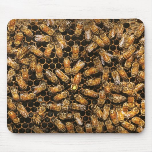 Apiary - Biene - Die Königin hagelt Mousepad (Vorne)