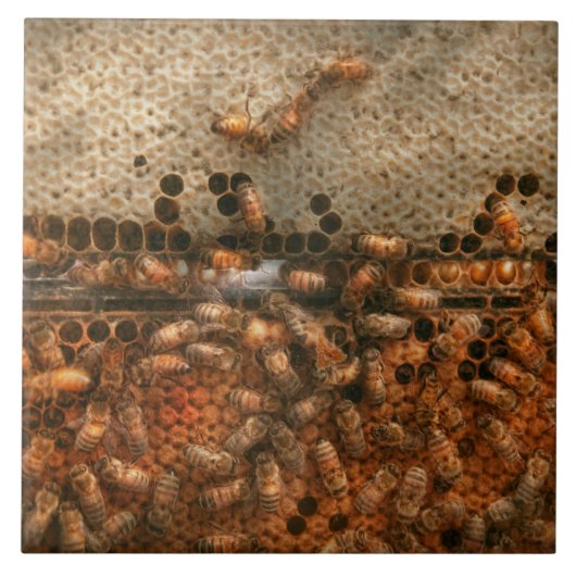 Apiary - Bienen - Erfolg süß Fliese (Vorderseite)