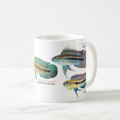 Apistgramma Kaffeetasse (VorderseiteRechts)