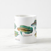 Apistgramma Kaffeetasse (Mittel)