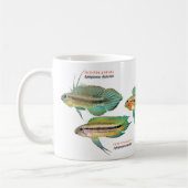 Apistgramma Kaffeetasse (Links)