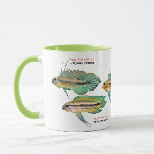 Apistgramma Tasse (Links)