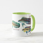 Apistgramma Tasse (VorderseiteRechts)
