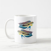 Apistogramma mendezi kaffeetasse (Links)